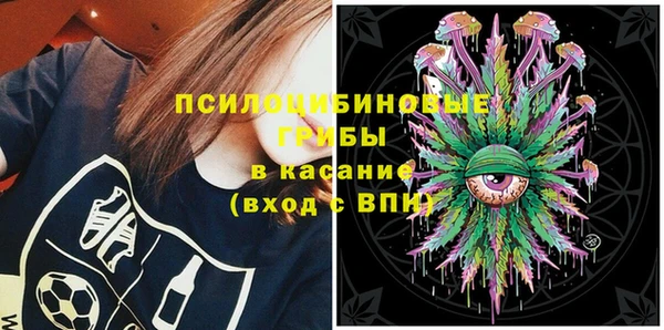 прущие крисы Бородино