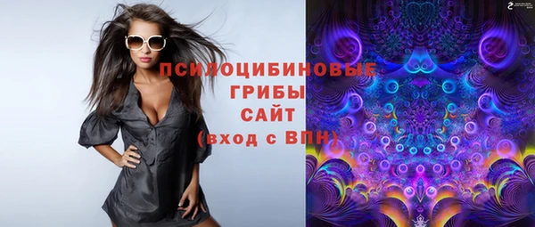 прущие крисы Бородино