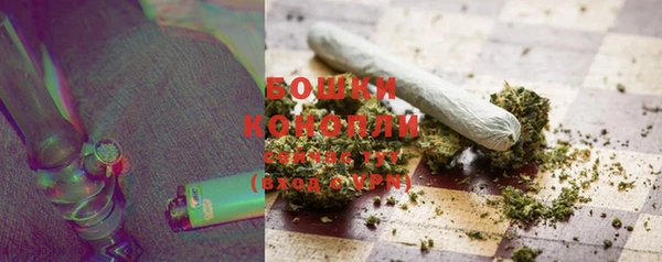 прущие крисы Бородино
